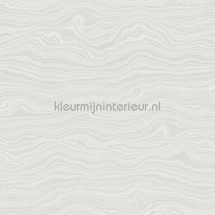 Hookedonwalls New Wave 24845 | Bestellen bij https://www.kleurmijninterieur.nl/