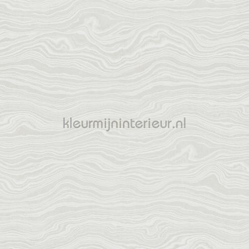 Hookedonwalls New Wave 24845 | Bestellen bij https://www.kleurmijninterieur.nl/