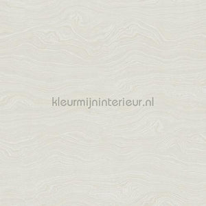 Hookedonwalls New Wave 24846 | Bestellen bij https://www.kleurmijninterieur.nl/
