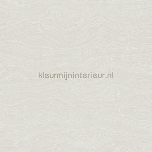 Hookedonwalls New Wave 24846 | Bestellen bij https://www.kleurmijninterieur.nl/