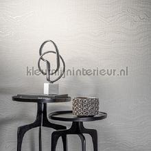 Hookedonwalls New Wave 24846 | Bestellen bij https://www.kleurmijninterieur.nl/