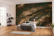 Komar RAW RSX8-058 | Bestellen bij https://www.kleurmijninterieur.nl/
