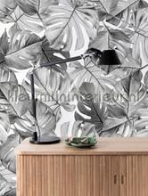 Kek Amsterdam Flora en Fauna wp-583 | Bestellen bij https://www.kleurmijninterieur.nl/