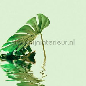 Livingwalls ARTist dd119793 | Bestellen bij https://www.kleurmijninterieur.nl/