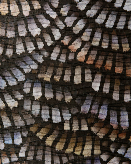 Prisma | kleurmijninterieur