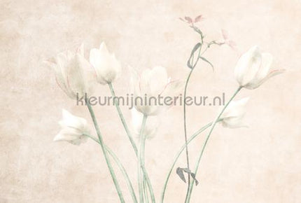 AS Creation Walls by Patel 3 DD122396 | Bestellen bij https://www.kleurmijninterieur.nl/