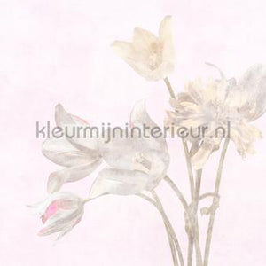 AS Creation Walls by Patel 3 DD122388 | Bestellen bij https://www.kleurmijninterieur.nl/