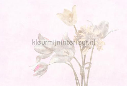AS Creation Walls by Patel 3 DD122388 | Bestellen bij https://www.kleurmijninterieur.nl/