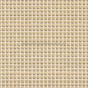 Cole and Son Geometric II 105-3014 | Bestellen bij https://www.kleurmijninterieur.nl/
