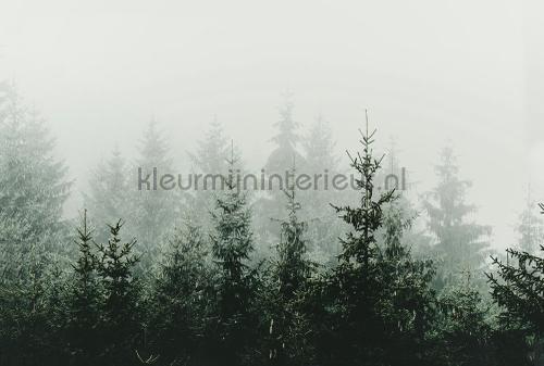 Livingwalls ARTist dd119873 | Bestellen bij https://www.kleurmijninterieur.nl/