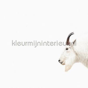 Livingwalls ARTist dd119809 | Bestellen bij https://www.kleurmijninterieur.nl/