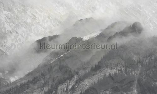 Noordwand Vanilla Lime 14316 | Bestellen bij https://www.kleurmijninterieur.nl/