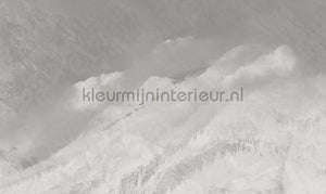 Noordwand Vanilla Lime 14318 | Bestellen bij https://www.kleurmijninterieur.nl/