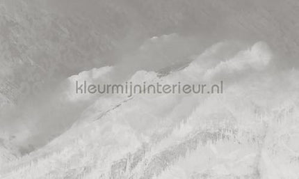 Noordwand Vanilla Lime 14318 | Bestellen bij https://www.kleurmijninterieur.nl/
