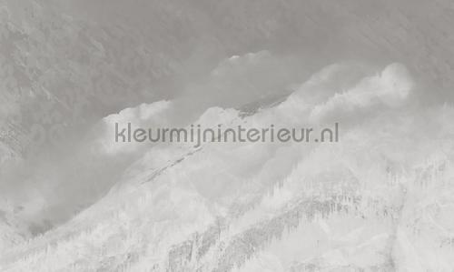 Noordwand Vanilla Lime 14318 | Bestellen bij https://www.kleurmijninterieur.nl/