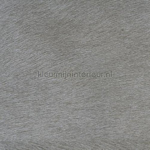 Elitis Indomptee VP 625 05 | Bestellen bij https://www.kleurmijninterieur.nl/