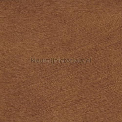 Elitis Indomptee VP 625 10 | Bestellen bij https://www.kleurmijninterieur.nl/