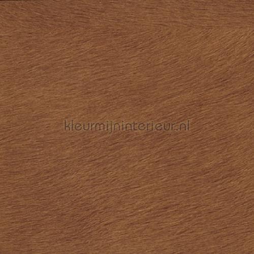 Elitis Indomptee VP 625 10 | Bestellen bij https://www.kleurmijninterieur.nl/