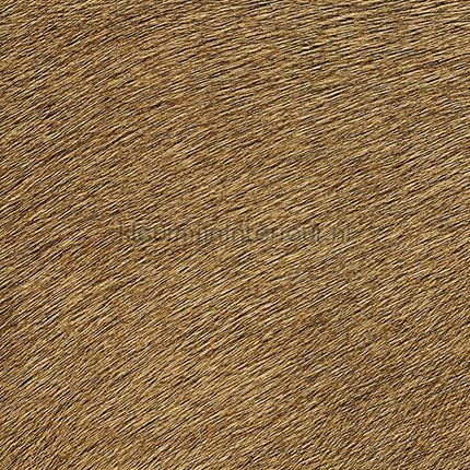 Elitis Indomptee VP 625 32 | Bestellen bij https://www.kleurmijninterieur.nl/