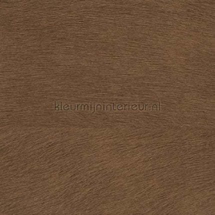 Elitis Indomptee VP 625 26 | Bestellen bij https://www.kleurmijninterieur.nl/