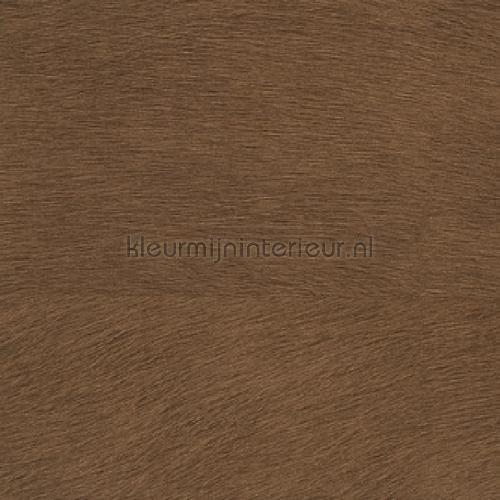 Elitis Indomptee VP 625 26 | Bestellen bij https://www.kleurmijninterieur.nl/