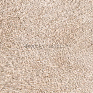 Elitis Indomptee VP 625 40 | Bestellen bij https://www.kleurmijninterieur.nl/