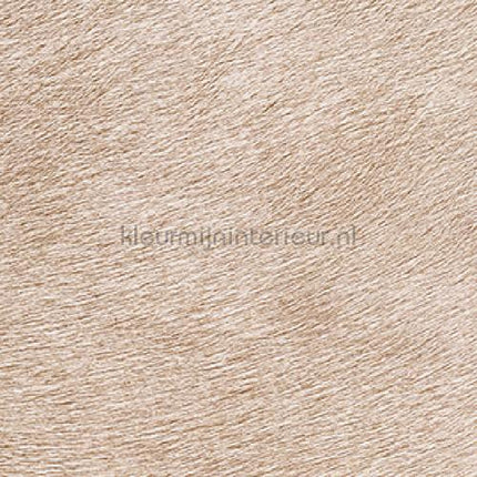 Elitis Indomptee VP 625 40 | Bestellen bij https://www.kleurmijninterieur.nl/