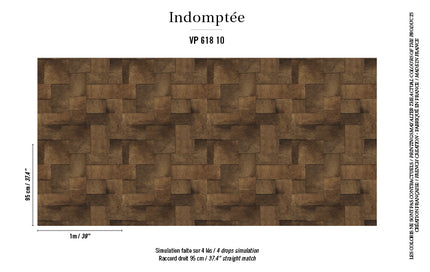 VP 618 10 Elitis Indomptee Appaloosa suivre un rite