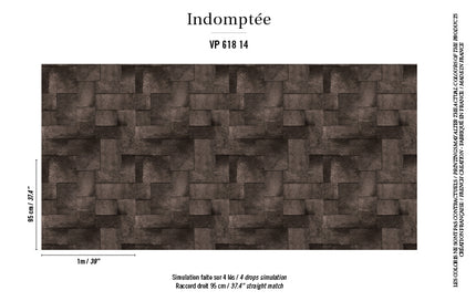 VP 618 14 Elitis Indomptee Appaloosa Naissance d une icone
