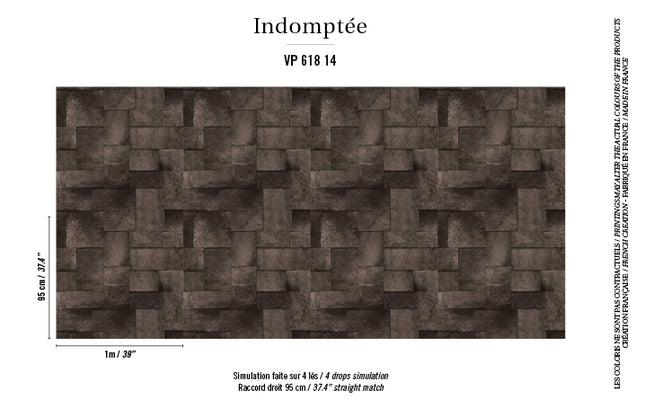 VP 618 14 Elitis Indomptee Appaloosa Naissance d une icone