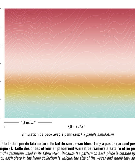RM 1029 01 Elitis Moire Voyage sur un nuage