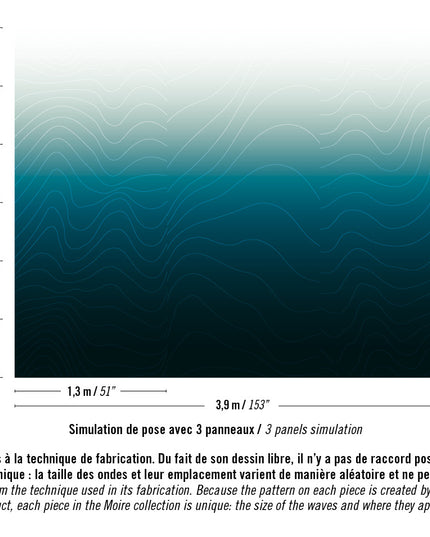 RM 1027 01 Elitis Moire Plus pur que le soleil