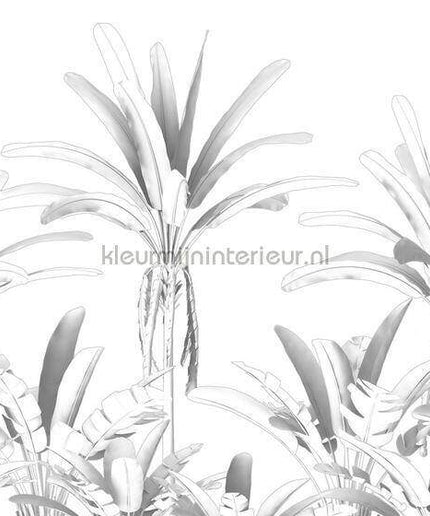 Komar RAW R4-051 | Bestellen bij https://www.kleurmijninterieur.nl/