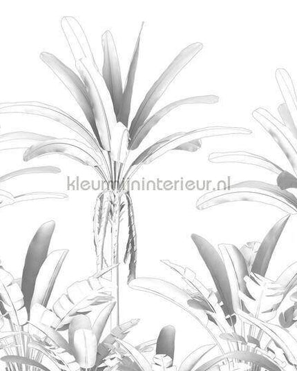 Komar RAW R4-051 | Bestellen bij https://www.kleurmijninterieur.nl/