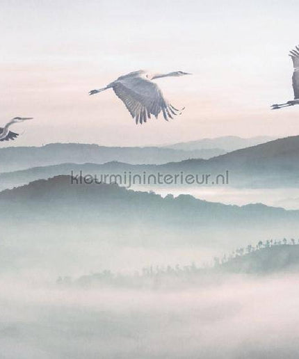Komar INK INX8-083 | Bestellen bij https://www.kleurmijninterieur.nl/