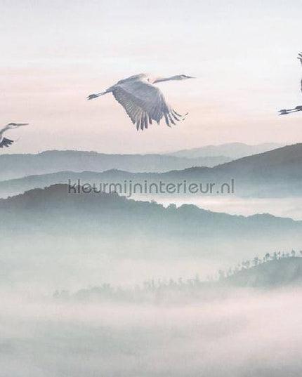 Komar INK INX8-083 | Bestellen bij https://www.kleurmijninterieur.nl/