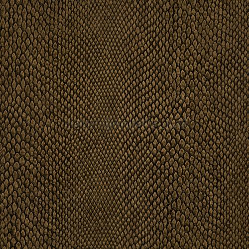 Hookedonwalls Leopard Walk 15334 | Bestellen bij https://www.kleurmijninterieur.nl/