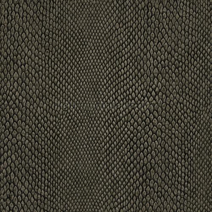 Hookedonwalls Leopard Walk 15336 | Bestellen bij https://www.kleurmijninterieur.nl/