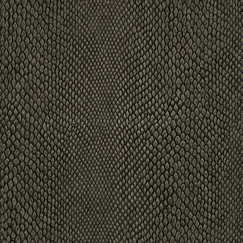 Hookedonwalls Leopard Walk 15336 | Bestellen bij https://www.kleurmijninterieur.nl/