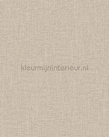 Dutch Wallcoverings Exclusive Threads TP422922 | Bestellen bij https://www.kleurmijninterieur.nl/