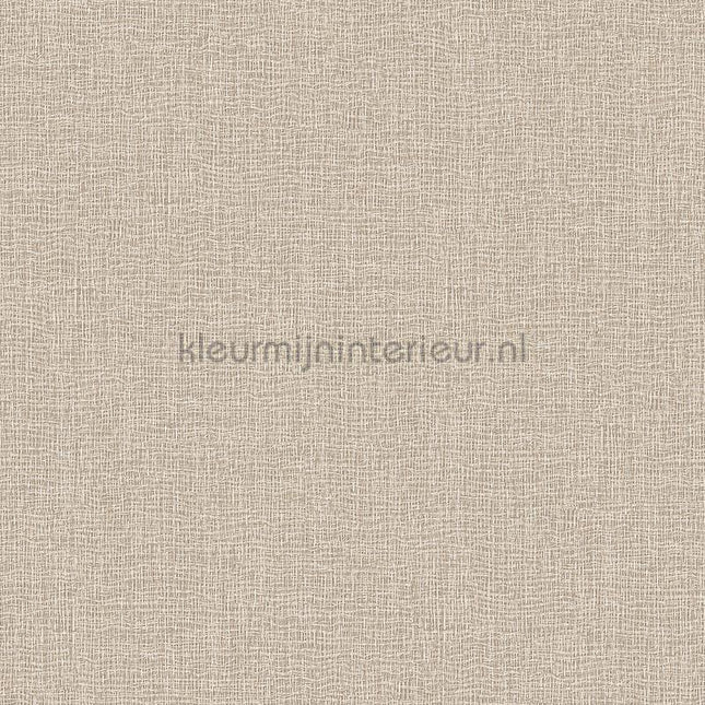 Dutch Wallcoverings Exclusive Threads TP422922 | Bestellen bij https://www.kleurmijninterieur.nl/