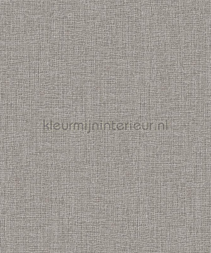 Dutch Wallcoverings Exclusive Threads TP422923 | Bestellen bij https://www.kleurmijninterieur.nl/