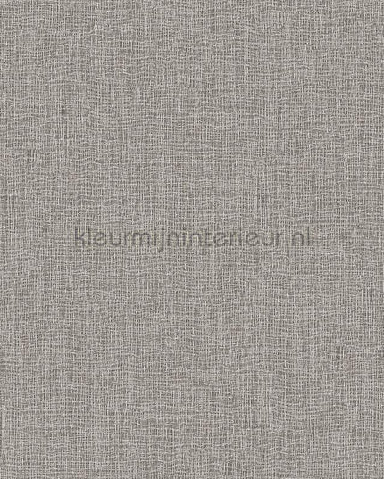 Dutch Wallcoverings Exclusive Threads TP422923 | Bestellen bij https://www.kleurmijninterieur.nl/