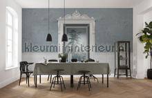 Komar RAW R5-059 | Bestellen bij https://www.kleurmijninterieur.nl/