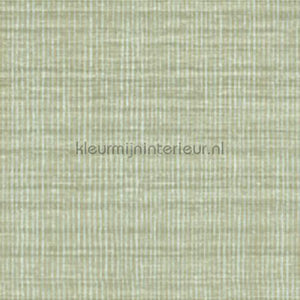 Elitis Soie changeante VP 929 40 | Bestellen bij https://www.kleurmijninterieur.nl/