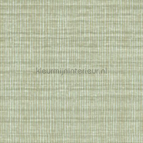 Elitis Soie changeante VP 929 40 | Bestellen bij https://www.kleurmijninterieur.nl/