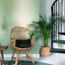 Elitis Soie changeante VP 929 40 | Bestellen bij https://www.kleurmijninterieur.nl/