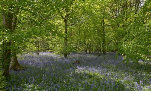 Noordwand Holland 7659 | Bestellen bij https://www.kleurmijninterieur.nl/