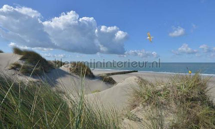 Noordwand Holland 5483 | Bestellen bij https://www.kleurmijninterieur.nl/