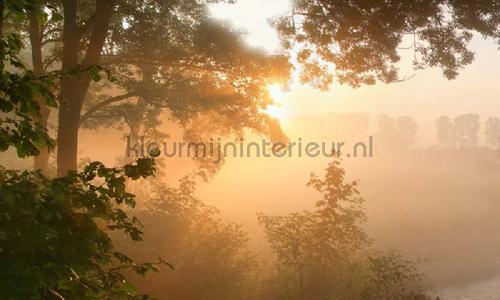 Noordwand Holland 4646 | Bestellen bij https://www.kleurmijninterieur.nl/